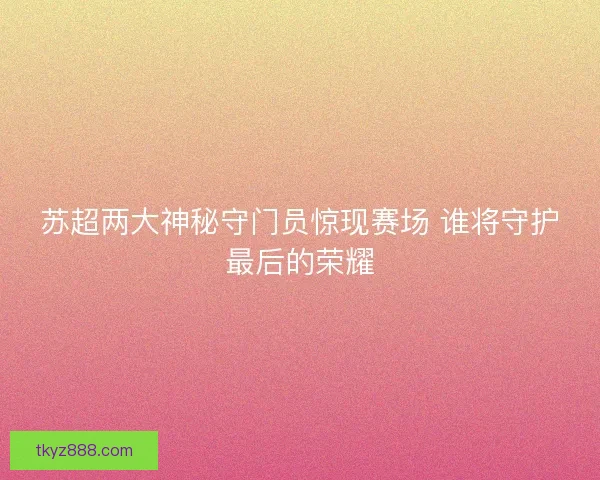 苏超两大神秘守门员惊现赛场 谁将守护最后的荣耀