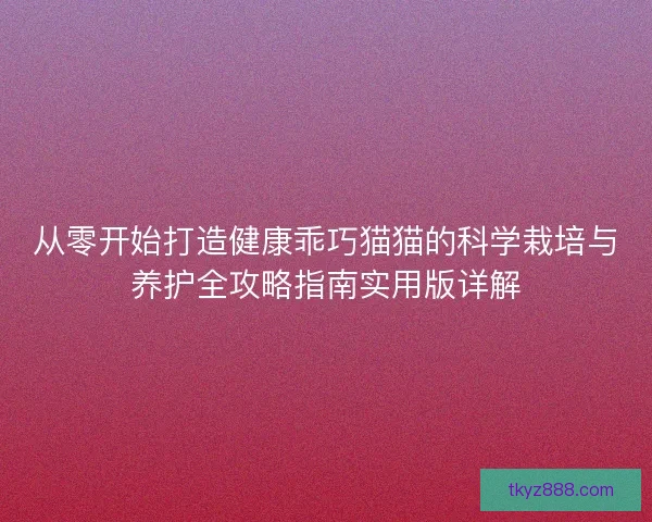 从零开始打造健康乖巧猫猫的科学栽培与养护全攻略指南实用版详解