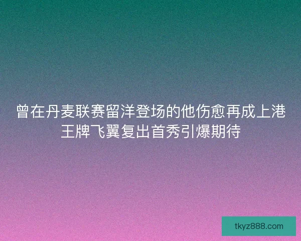 曾在丹麦联赛留洋登场的他伤愈再成上港王牌飞翼复出首秀引爆期待